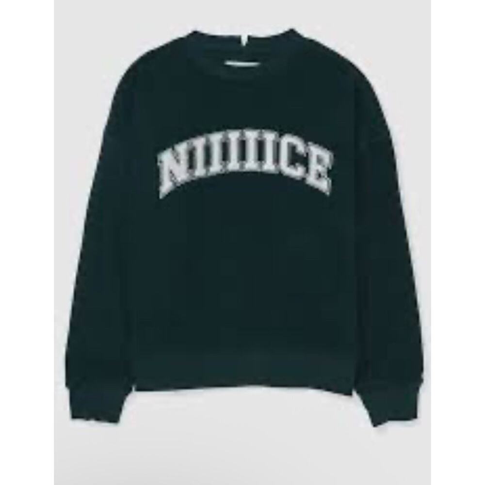 Aerie The Chill Cozy Crew Oversized Green Terry Sweatshirt “NIIIIICE” Sz XXL